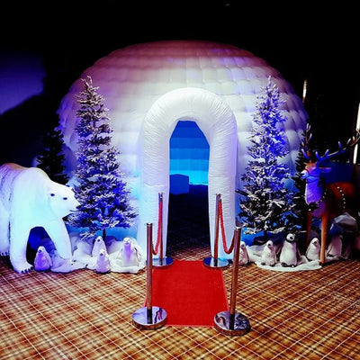 Outdoor Portable Inflatable Igloo Dome Tent with Led Light & Blower for Party Wedding Event Camping (14Ft Diameter 10Ft Height